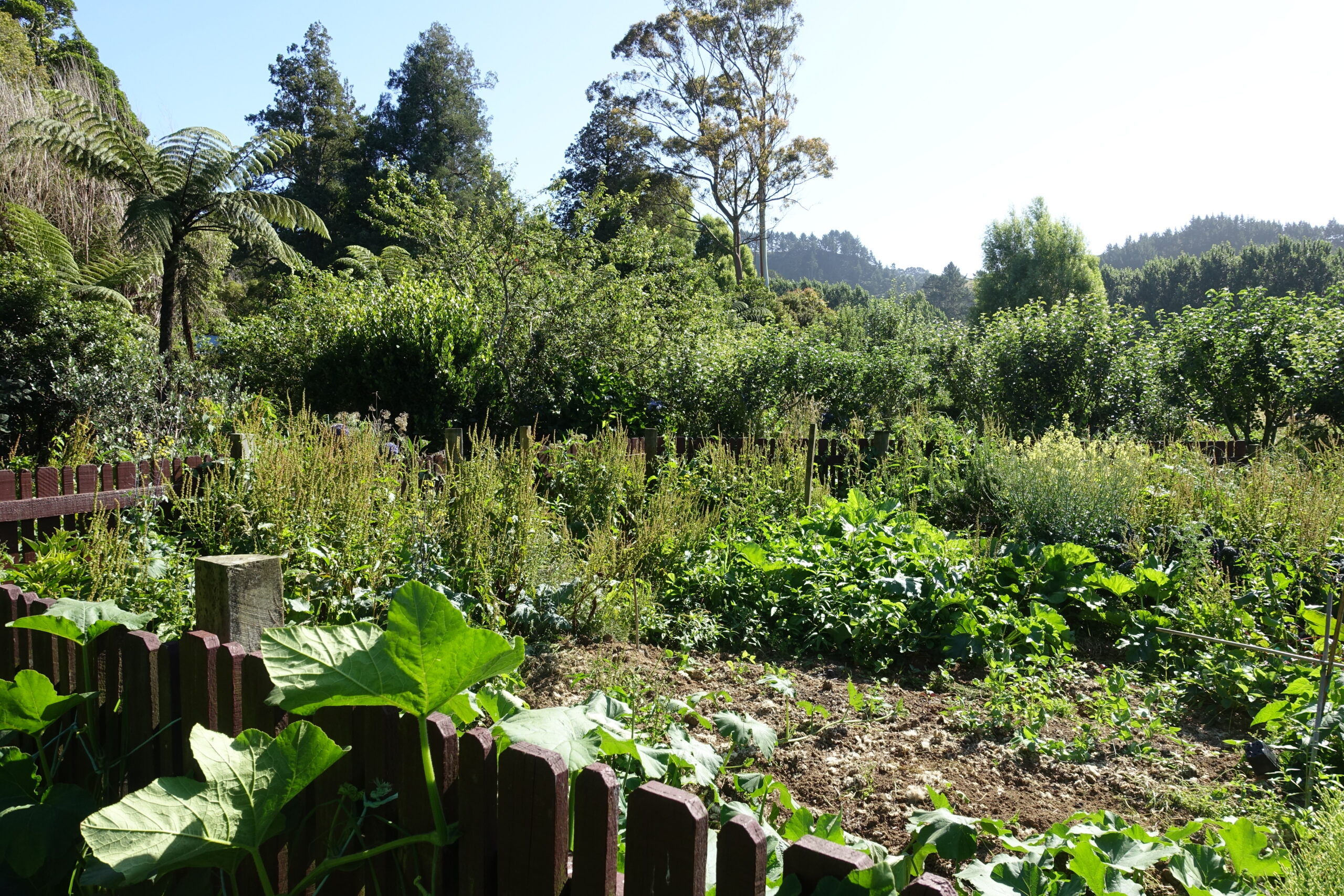 Peihana Farm, Aquatron 4×100