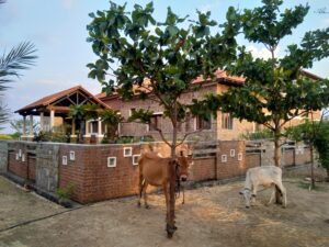 Eco-friendly house & a zero-electricity rest room system