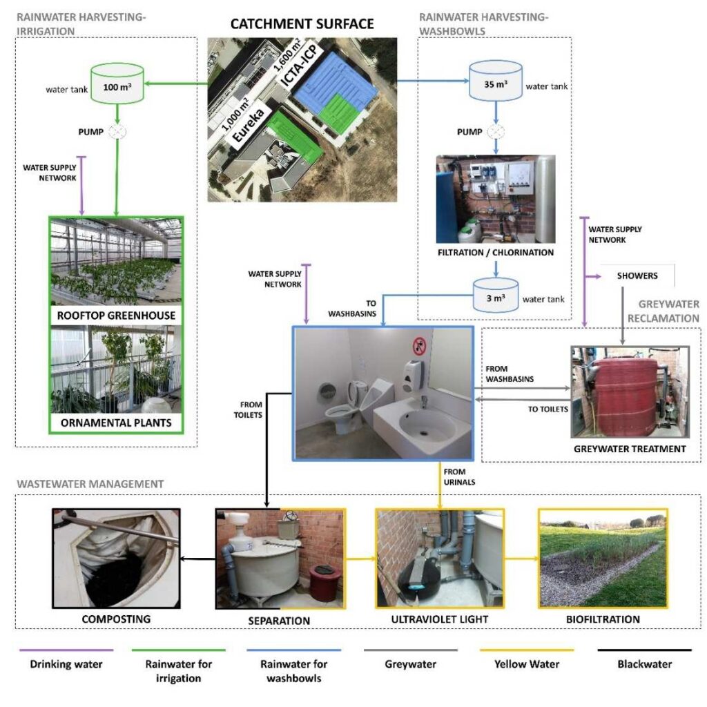 Description of the study system and quantification of the flows